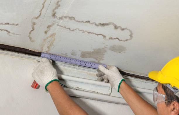 Reliable Flood Cleanup contractor in Virginia, MN by Water Damage Irwin